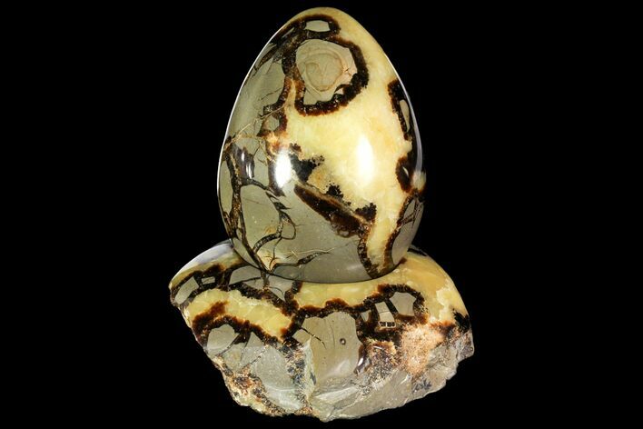 Polished Septarian Egg with Stand - Madagascar #118141
